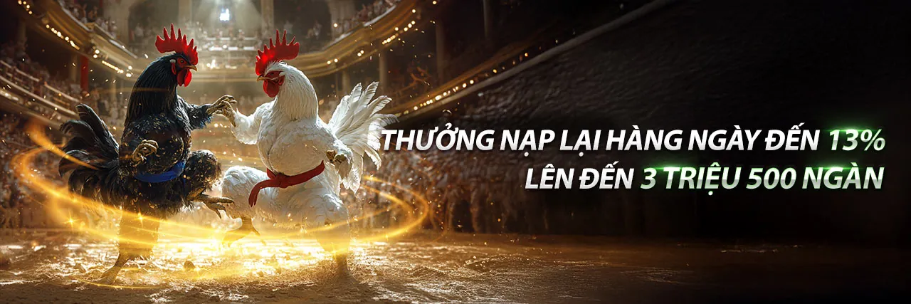 Ưu Đãi Hấp Dẫn 2026 tại kubet88 nhà cái